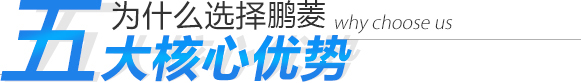 為什么選擇鵬菱 五大核心優勢